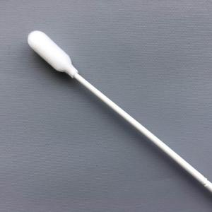 China Disposable Oral Foam Swabs , Medical Foam Swabs With White PP Stick wholesale