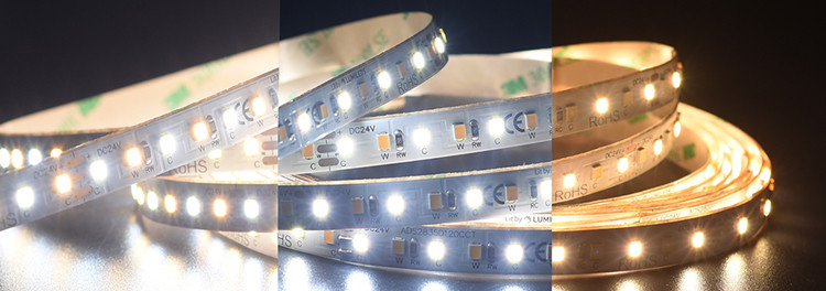 Flexible Tunable White LED Strip Light CCT Color Changing Side Emitting 315 24V For Stairs