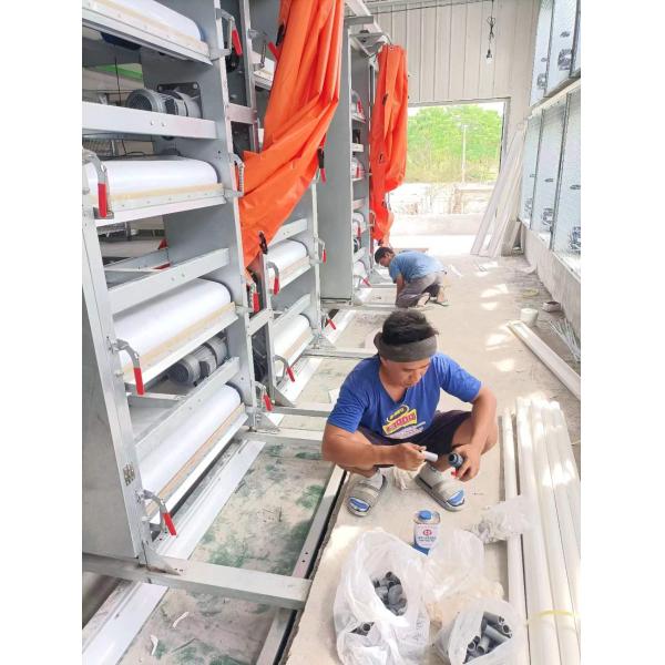 Prefab Light Steel Structure Poultry House Galvanized Steel Frame Chicken Coop