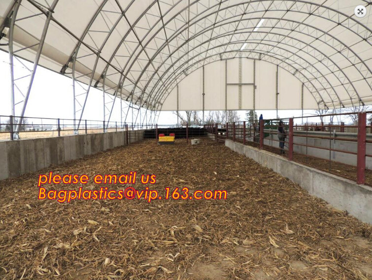 100% new HDPE insect mesh / anti bird net for apple trees,greenhouse anti insect net for plant, agriculture net Anti-ins