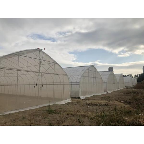 Commercial Large Agricultural Greenhouse UV Film Vegetable Hydroponic Greenhouse