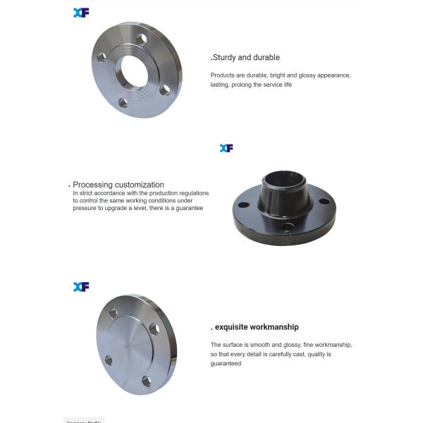 C22.8 Dn250 Type01 Pipe Plate Flange Black Paint Coating