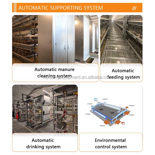 Automatic Battery Day Old Chicks Poultry Equipment Automated Pullet Brooding Cages for Layers