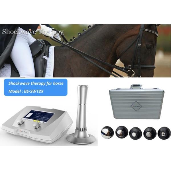 High Pressure Adjustable 1-22Hz Shockwave Machine For Horse Treatment