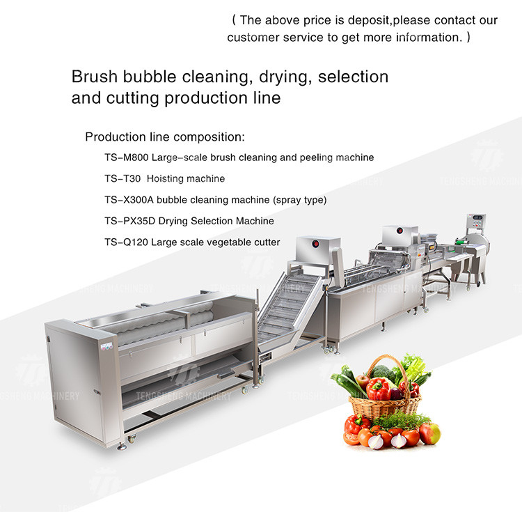 Industrial Fruit And Vegetable Processing Line Brush Bubble Cleaning Drying Selection And Cutting