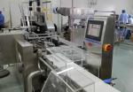 Automatic Sweep Arm Weight Sorting Machine Chicken Duck Fish Food Weight Sorter