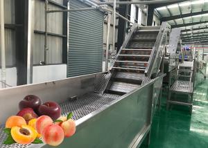 China Water Saving Fruit Processing Line Apricot Juice Concentration Safety Control wholesale