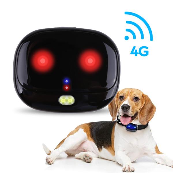 Quality Anti Theft Anti Lost Gps Tracker Dog Collar With Voice Monitor for sale