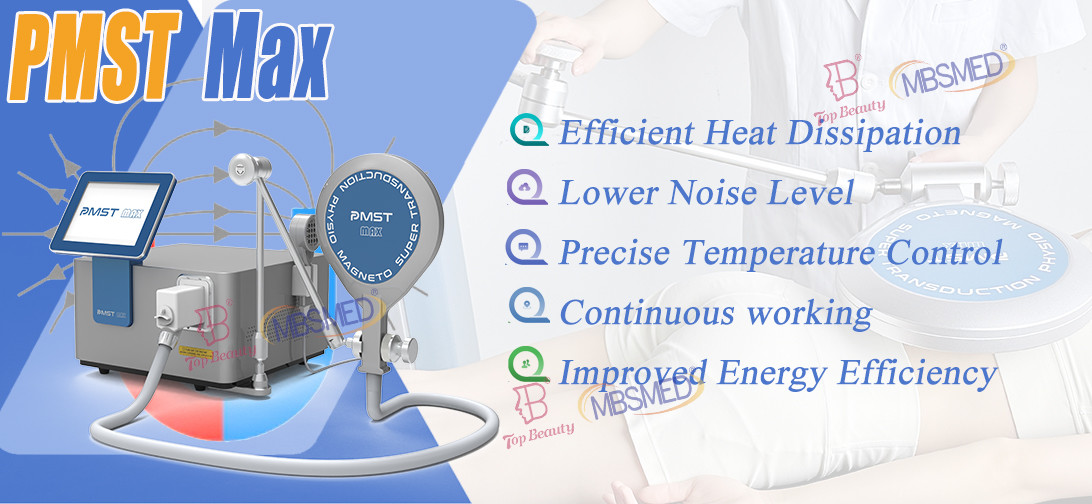 Pemf Magnetic Therapy Health Pulsed Electromagnetic Stimulation Therapy Pemf Device For Equines