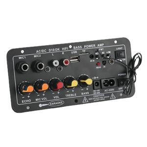China D10 12V 24V Subwoofer Digital Power Amplifier Board Wireless Audio Stereo BT 5.0 Dual Microphone Karaoke Amp Speaker Acc wholesale