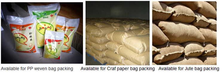 Computer Control 50kg Per Bag Soybean Meal Feed Packing Machine