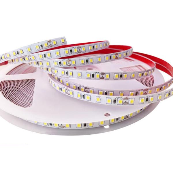 IP68 Waterproof SMD LED Flexible Strips 2835 High Voltage 220V 110 Leds