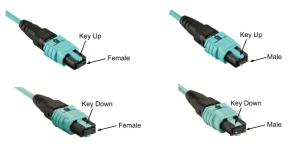 OM3/OM4 MPO Connector Patch Cord 12 Fiber MPO Trunk Cable 8/12/24F MTP MPO Cable