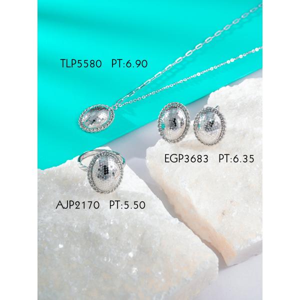 Platinum set necklace & earring & ring new jewelry.