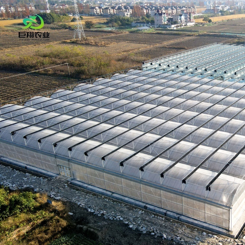 Reefer Container Greenhouse Leafy Vegetables