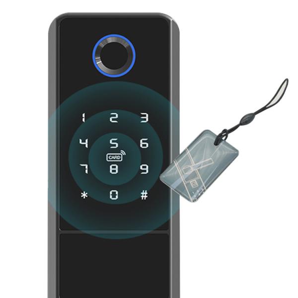 Keyless Biometric Fingerprint Recognition Tuya Smart Lock With CE FCC Certificat