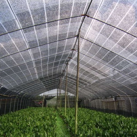 HDPE Agriculture Shade Net Greenhouse Shade Net Rolls For Garden
