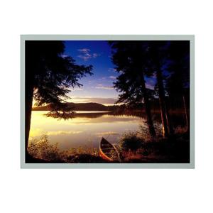 1024*768 Color BOE TFT Monitor 8 Inch Display For Industry