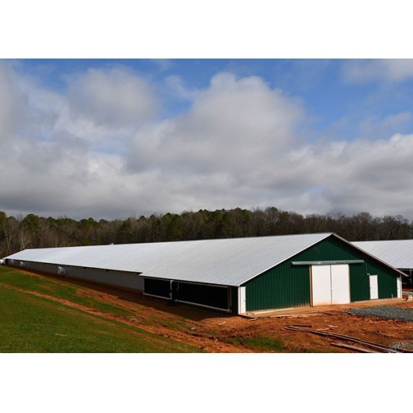 Silver Pig House Poultry Farming Structures HI HOPE Broiler Housing Structure