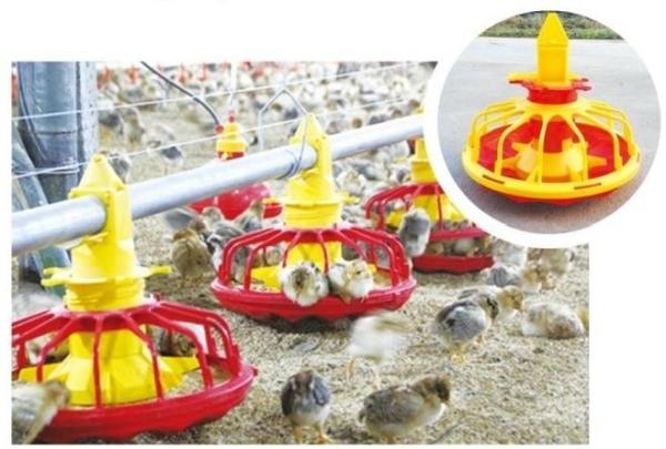 Quality Automatic Feeding System For Broilers And Layers for sale