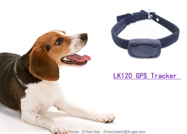 Quality 2016 Newest PET Product GEO Fence Function Cat Gps Tracker with Android Iphone Apps LK120 for sale