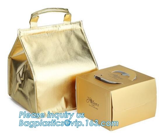 Customized logo printing insulated food delivery cooler bag,wholesale waterproof food delivery thermal bags bagplastics