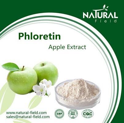 Quality Best Sells Product Phloretin, Free Samples Green Apple Extract, China Supplier Apple Extra for sale