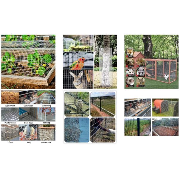 Customizable High-Quality Welded Mesh for Building Protection Materials Welded Wire Mesh