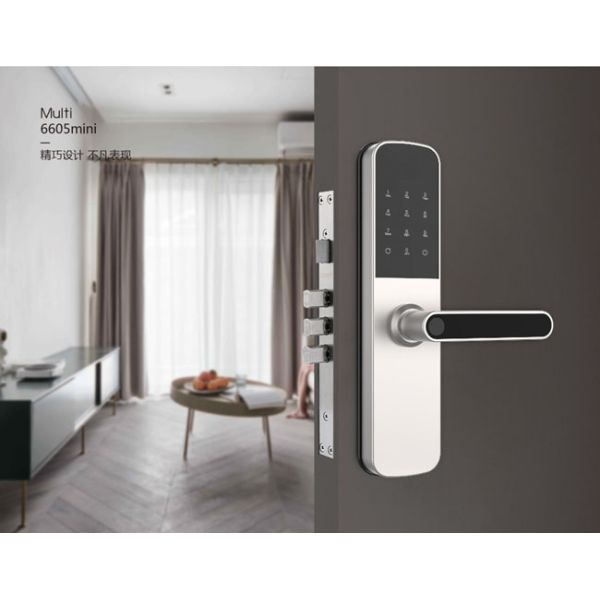 Keyless Electric Smart Card Door Lock 65mm With Free Software