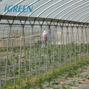 Buy cheap Large IGreen Agricultural Greenhouses Materials Shade Cloth Greenhouse with No from wholesalers