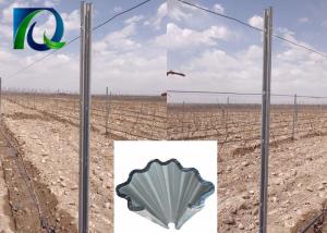 China Customized Size Vineyard Poles / Grape Trellis Posts With N Shape Holes wholesale