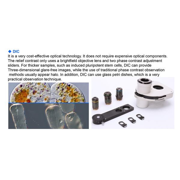 Opto Edu A16.1097 Lcd Touch Screen Fluorescence Stereomicroscope