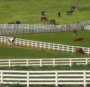 China Easy To Assemble 4 Rails Vinyl Pvc Farm Fencing White Horse Rail Fence wholesale