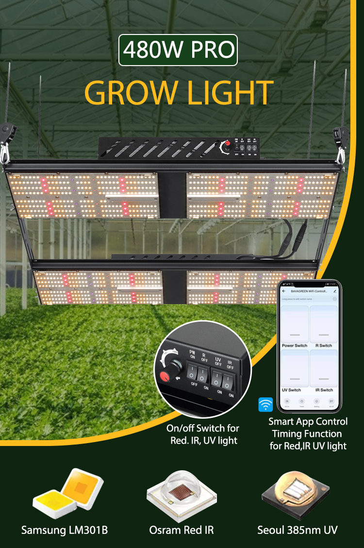 HPS CMH LM301B LED Grow Light