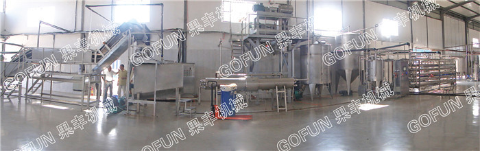 Energy Saving 60T/D CIP Cleaning Fruit Processing Line