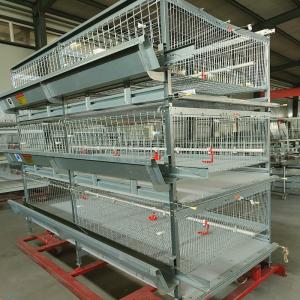 Auto Farm Battery System In Poultry , HDG 150/200 Chicken Broiler Equipment