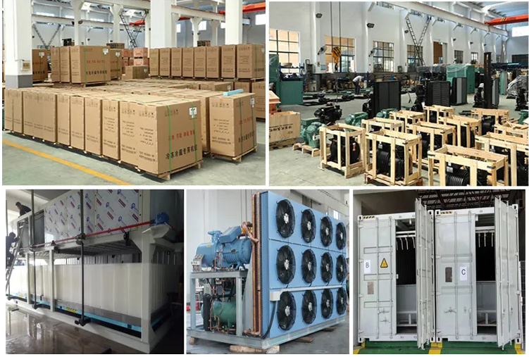 Commercial Freshwater Flake Ice Machine Small Flake Ice Maker Flake Ice Plant For Hotel Use