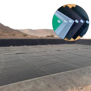 China Non-Slip Rough Surface Geomembrane for Fish Shrimp Farm Pond wholesale