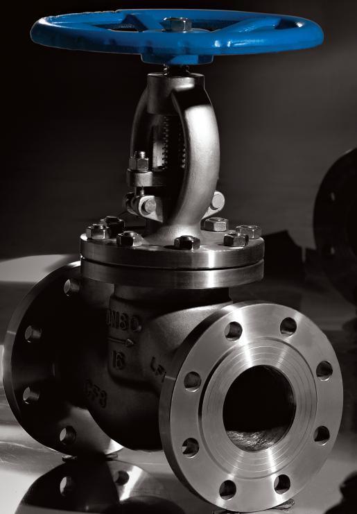 ANSI CE BS Standard Wcb Material Globe Valve