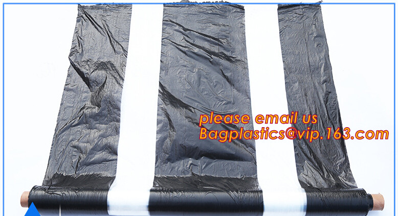 HOTICULTURAL MULCH FILM,AGRICULTURAL PE FILM,MARKET GARDENERS CLOCHE FILM,PE FILM FOR CORN,PLASTIC FILM COVER,TOMATO COV
