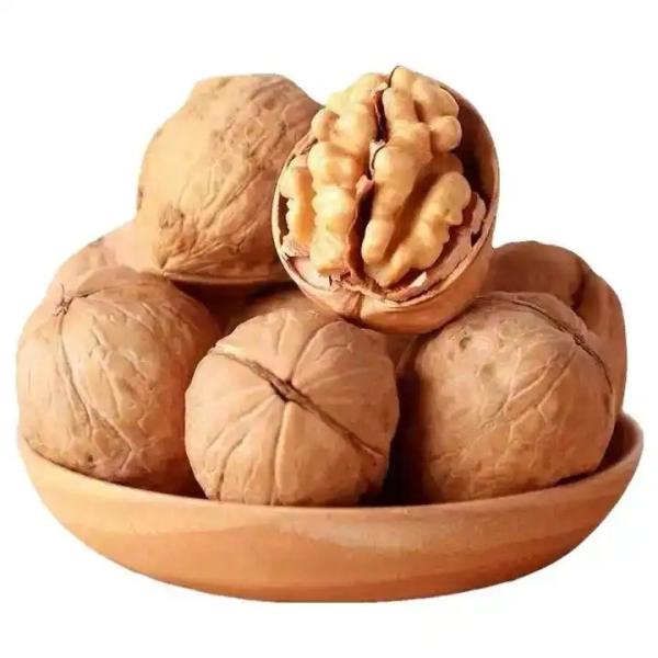 Quality China Fastest Shipping and Freshest Natural 185 Walnut kernel without shell for sale