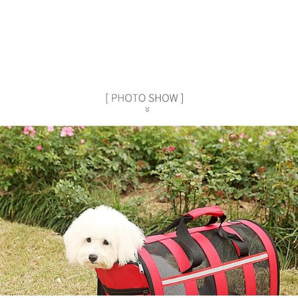 Dog And Cat Portable Handbag With Breathable Mesh On Four Sides Foldable Pet Cage