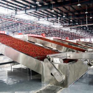 China Industry SUS304 Automatic Chili Drying Systems for Food Processing wholesale