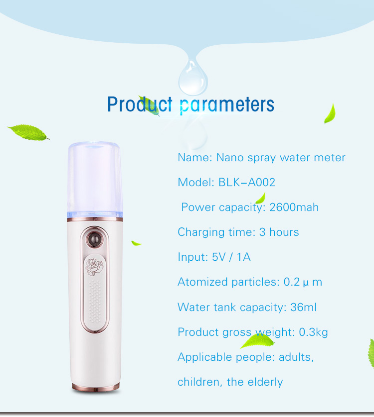 Fast Charge Handy Nano Mist Facial Spray 1A 2600 MAh Battery Capacity