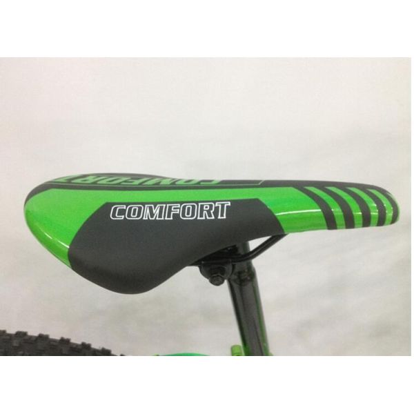 AAA Quality Steel 20 Inch Fat Tire Electric Bike