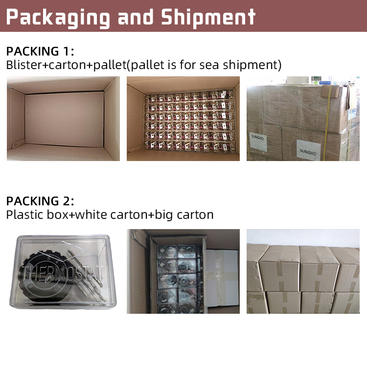 Customizable Multifunctional Temperature Thermostat Heater for B2B Sales Channels
