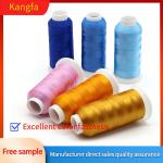 4000y 120D/2 108D/2 100% Polyester Embroidery Thread for Machine in and Dyed