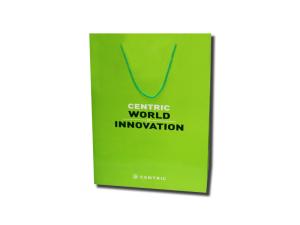 China Green Colors Custom Printing Paper Bags With Recycled Paper Bag OPP Rope Handle wholesale