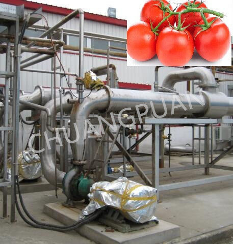 Food Processing Tomato Paste Production Line Supported by Online Technical Service