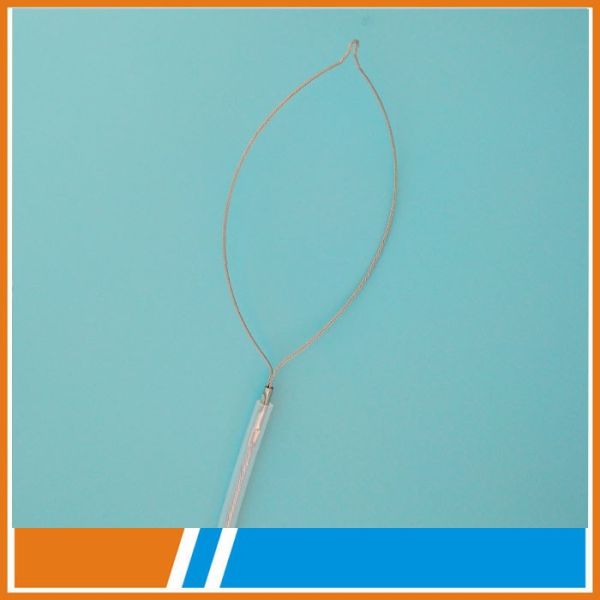 Cold snare polypectomy and hot snare polypectomy